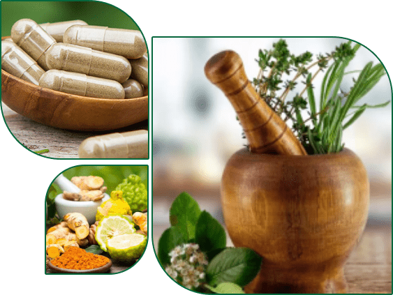 Ayurveda banner